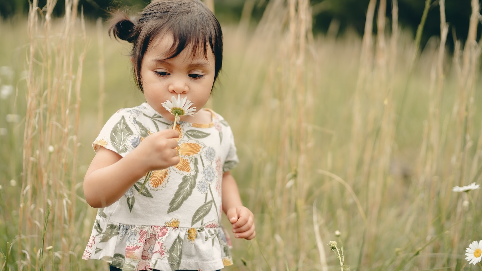 girl in white and pink floral dress holding yellow flower