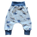 Vay's Kingdom | Pants & T-shirt - Turtles Blue