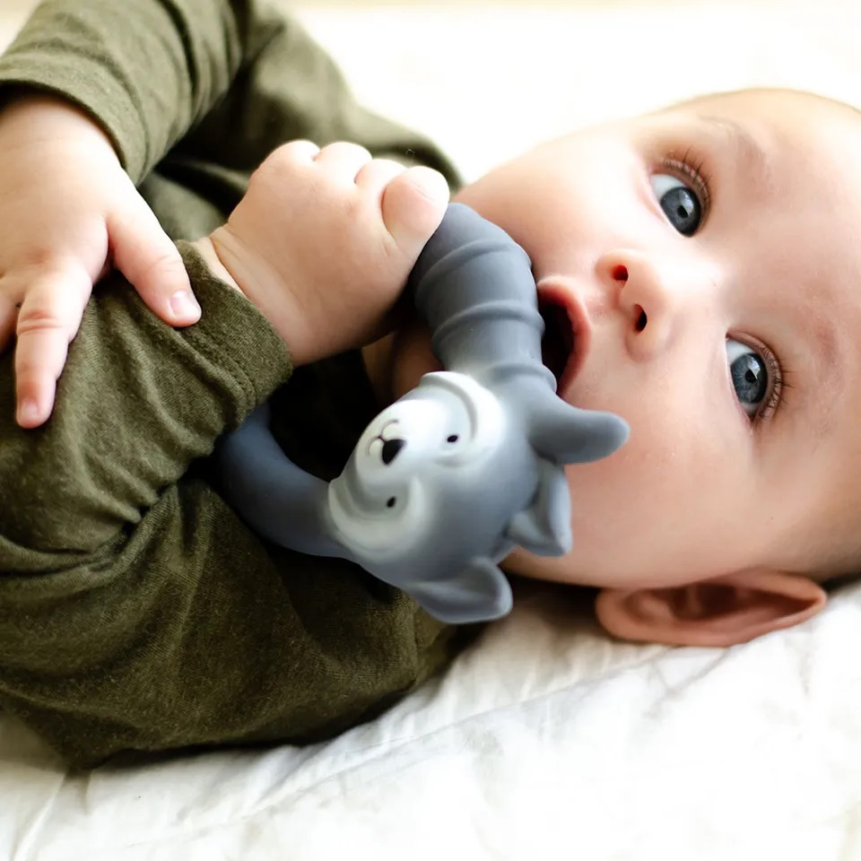 Natruba Teether Raccoon -3.jpg