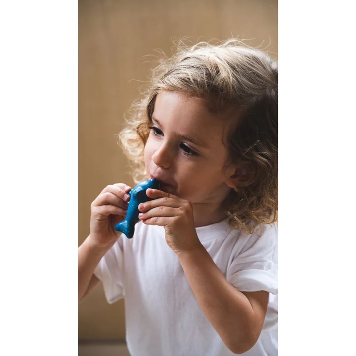 Plan Toys Dolphin Whistle -2.jpg