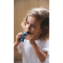 Plan Toys Dolphin Whistle -2.jpg