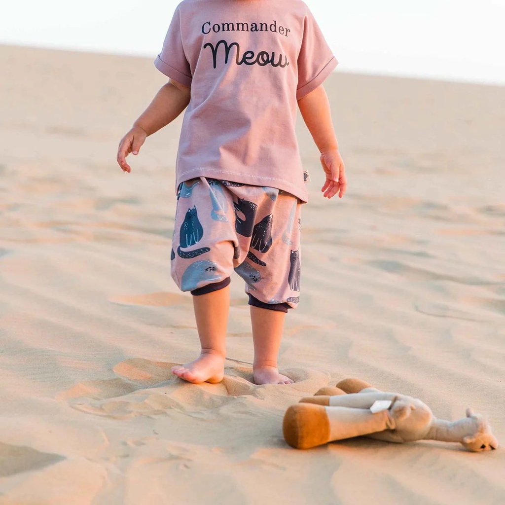 Vay's Kingdom Shorts & T-shirt - Cats -1.jpeg