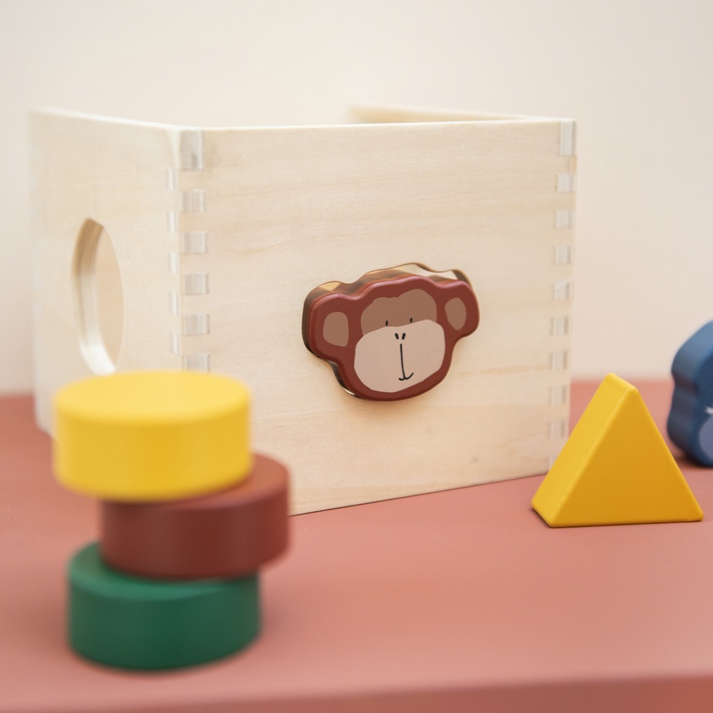 Trixie Wooden Shape Sorter -3.jpg