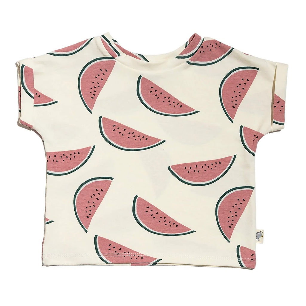 Vay's Kingdom | Baggy Tee - Watermelon Cream