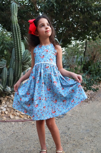 [PL000048] Petite Lamb | Festive Robin Bodice Dress (1-2y)